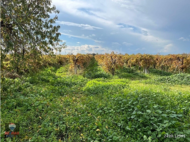 MENEMEN ÇAVUŞKÖY ÇANAKKALE ASFALTI YAKINI 8.100 M2 SATILIK TARLA