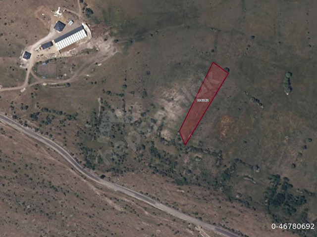 Çamlıdere Özmüşta Köye Yakın, Tek Tapu 4.486 m² Yatırımlık Tarla