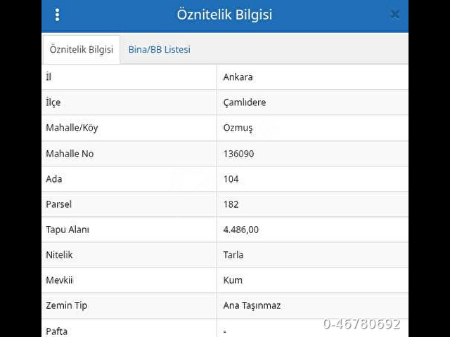 Çamlıdere Özmüşta Köye Yakın, Tek Tapu 4.486 m² Yatırımlık Tarla - Görsel 2