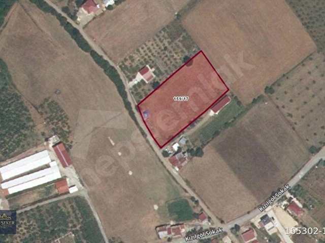 ALİ ŞEKERDEN ATAKUM KURUGÖKÇEDE YOLA CEPHE SATILIK ARSA