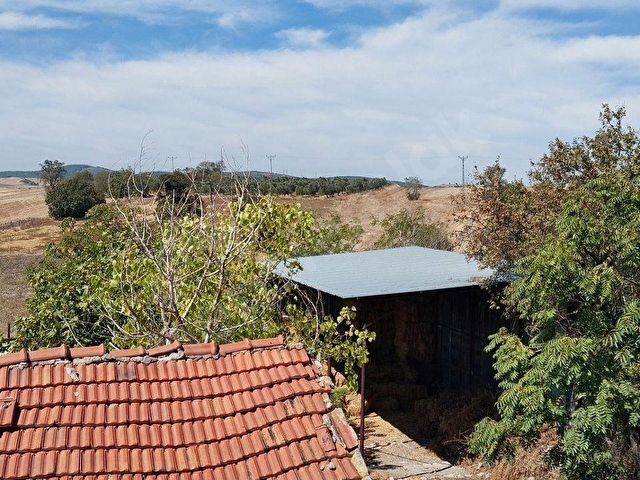 Balikesi̇r Gönen Küçüksoğuklar Mah 59.200 M2 Tarla Ev Zeyti̇nli̇k - Görsel 11