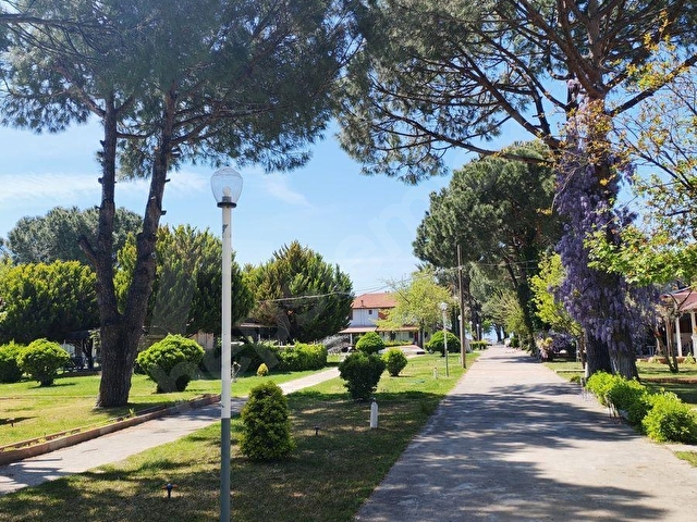 Ayvalık Altınovada Satılık Villa - Görsel 30