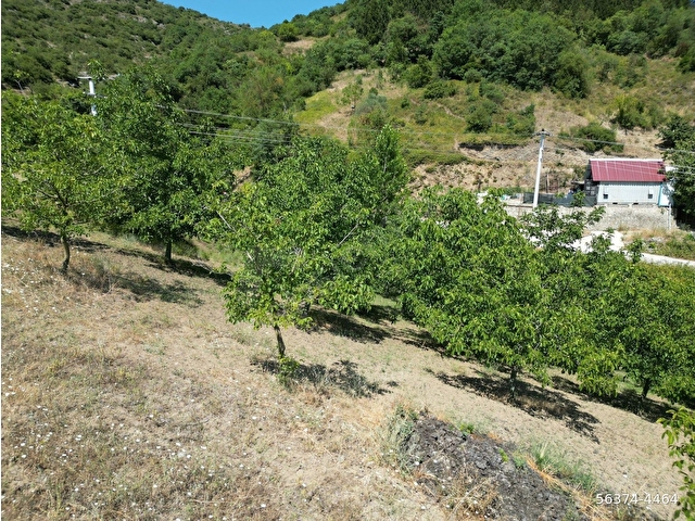 KOCAELİ KARAMÜRSEL İNEBEYLİ TAŞAĞIL MAHALLESİ  SATILIK 2154 M2 BAHÇE - Görsel 18