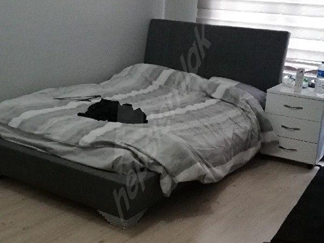 CİNNAH CADDESİ BÜKREŞ SOKAK 3+1 YAPILI SATILIK DAİRE OFİS - Görsel 29