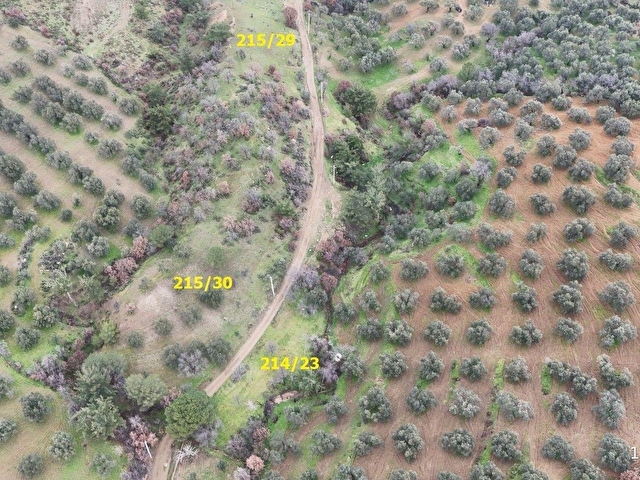 SUNAL EMLAK / HACIHÜSEYLER KÖY KENARI HARİKA ARAZİLER/ARSA ADAYI - Görsel 5