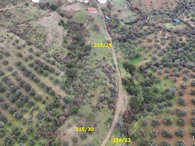 SUNAL EMLAK / HACIHÜSEYLER KÖY KENARI HARİKA ARAZİLER/ARSA ADAYI - Görsel 6