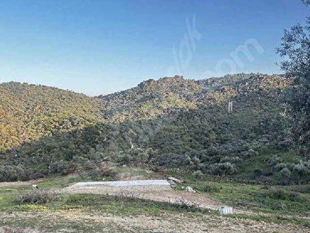 ÇINAR CNR EMLAK YATIRIM DANIŞMANLIK - Görsel 24