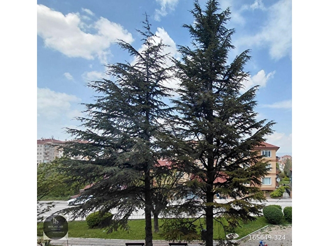 GÖZTEPE MH.DUMLUPINAR CD.YAKIN EBEVEYN BANYOLU SATILIK 2+1 DAİRE