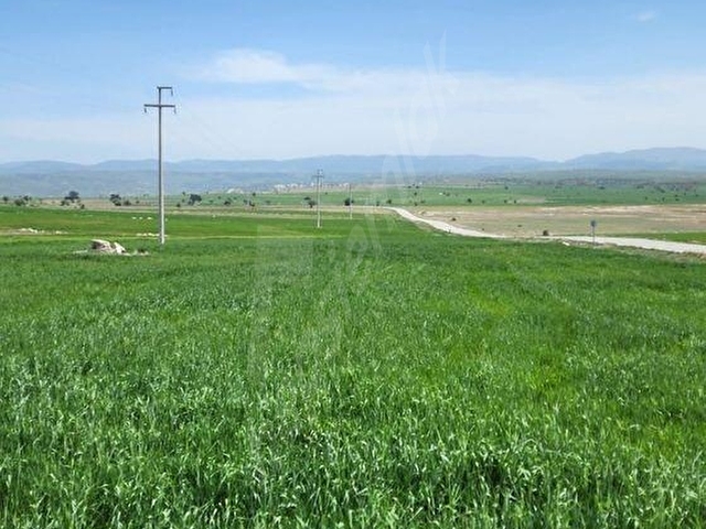 🚨 KÜTAHYA MERKEZDE 8.100 M² ÇİFTLİK VE PROJE YAPIMINA UYGUN HARİKA ARAZİ 🚨 - Görsel 15