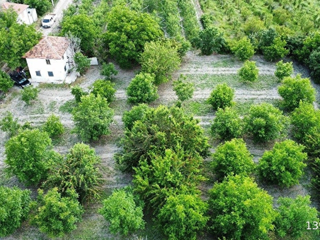 Uluborlu da müstakil ev ve bahçesi - Görsel 13