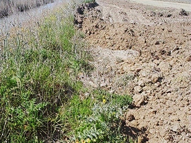Menemen Kesikte Yola Cepheli 638 m² Hobi Bahçesi - Görsel 29