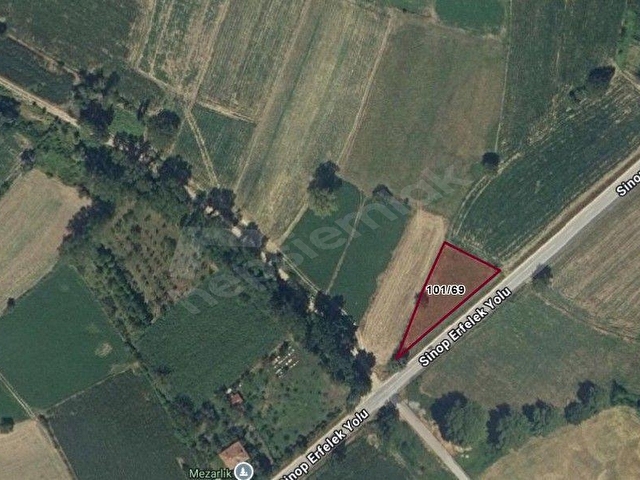 Sinop Merkez Akçaaçamda Yola Cepheli | Bağ Evi Yapımına Uygun 1.236 m² Fırsat Arsa