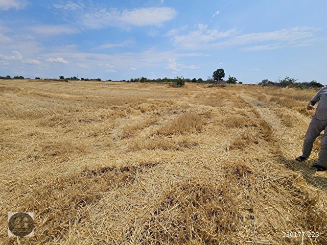 KIRKLARELİ KAYALI KÖYÜ MÜSTAKİL TAPU - 2 PARSEL 24.610 m2 TARLA - Görsel 14