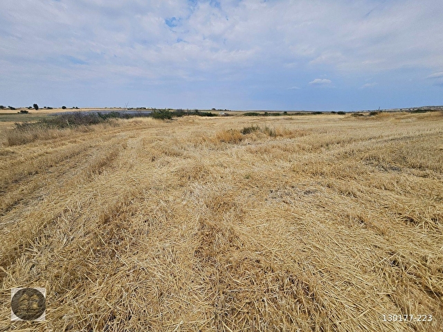 KIRKLARELİ KAYALI KÖYÜ MÜSTAKİL TAPU - 2 PARSEL 24.610 m2 TARLA - Görsel 25