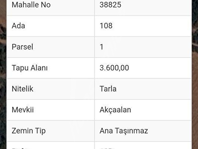 KAZDAĞLARI BAYRAMİÇ SÖĞÜTGEDİĞİ KÖYÜNDE KADASTURAL YOLOLAN TARLA - Görsel 14