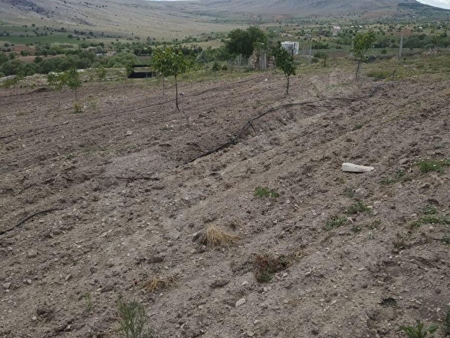 zirve emlaktan karadiğinde satılık bahçe