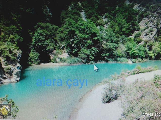 GÜNDOĞMUŞ NARAĞACI KÖYÜNDE 521M2 DOĞAYLA İÇ İÇE YATIRIMLIK ALANYA 30KM - Görsel 3