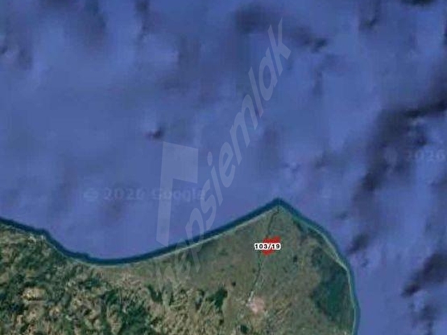 AKDAĞLAR 66 GÜVENCESİNDE KARADENİZİN KUZEYİNDE TARLA - Görsel 5