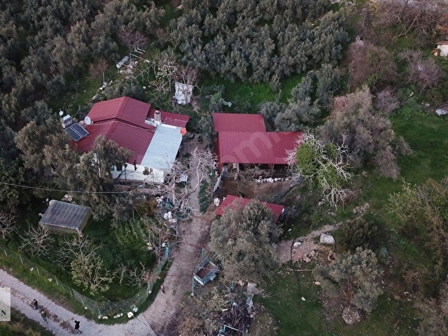 SEYDİKEMER BAĞLIAĞAÇ MAHALLESİNDE KÖY İÇİ İMARLI SATILIK TARLA - Görsel 22