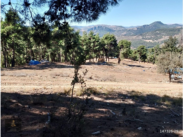 mersin Tarsus sandal mahallesi saltık tarla - Görsel 10