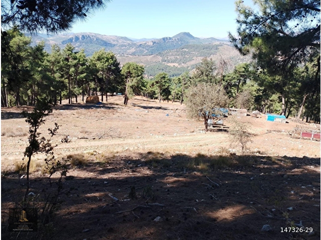 mersin Tarsus sandal mahallesi saltık tarla - Görsel 11