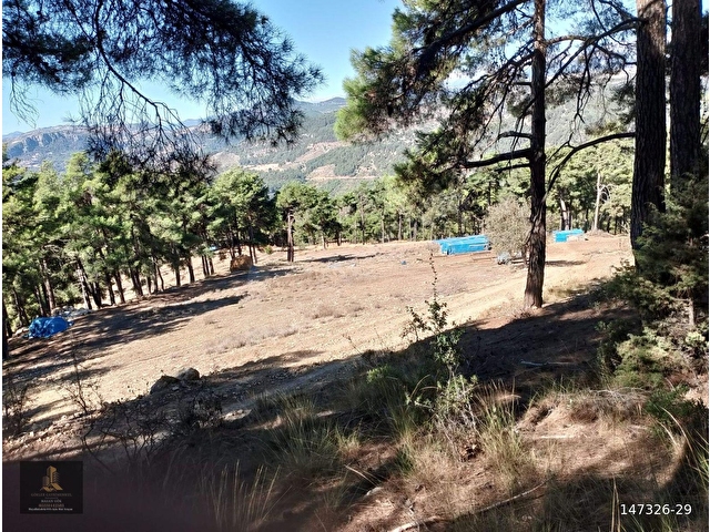mersin Tarsus sandal mahallesi saltık tarla - Görsel 6