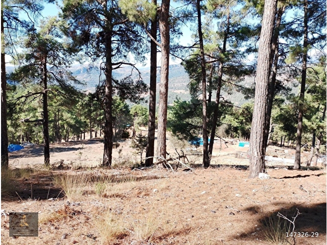 mersin Tarsus sandal mahallesi saltık tarla - Görsel 18