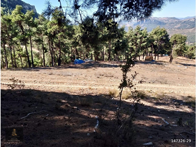 mersin Tarsus sandal mahallesi saltık tarla