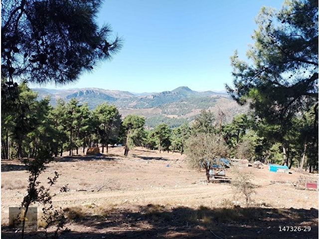 mersin Tarsus sandal mahallesi saltık tarla - Görsel 5