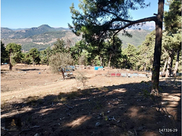 mersin Tarsus sandal mahallesi saltık tarla - Görsel 9