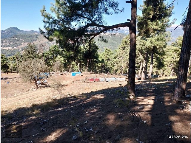 mersin Tarsus sandal mahallesi saltık tarla - Görsel 12