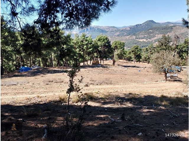 mersin Tarsus sandal mahallesi saltık tarla - Görsel 16