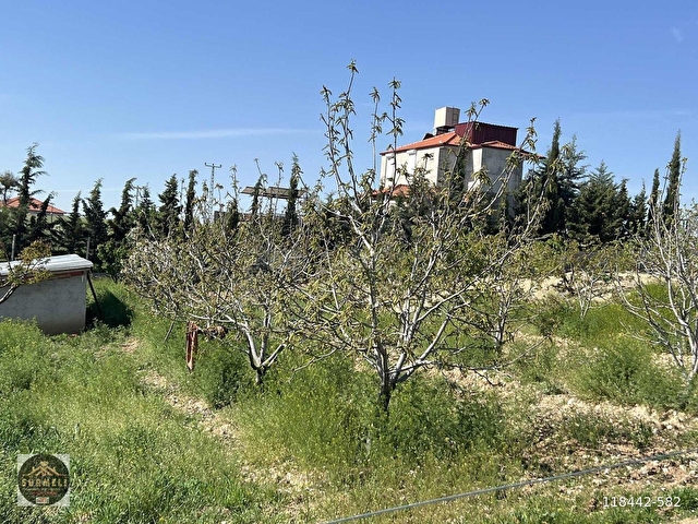 Yeltende Satılık Çiftlik, Besihane, Ev ve Bahçe (15.172 m²) - Görsel 12