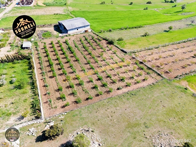 Yeltende Satılık Çiftlik, Besihane, Ev ve Bahçe (15.172 m²)