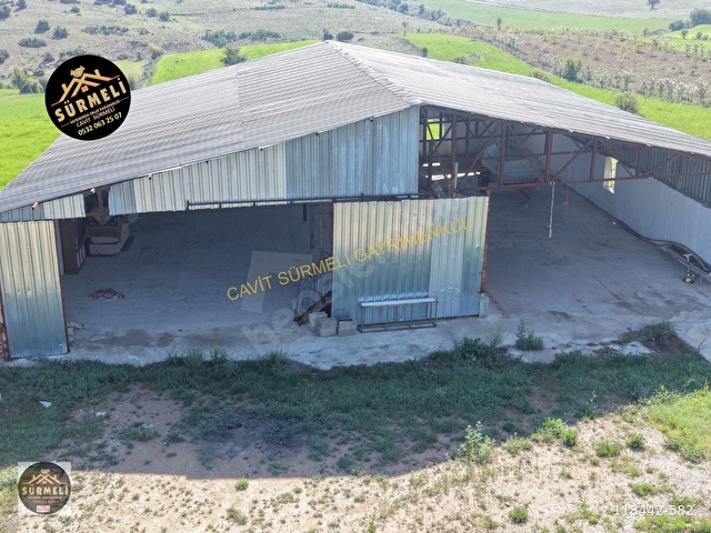 Yeltende Satılık Çiftlik, Besihane, Ev ve Bahçe (15.172 m²) - Görsel 24