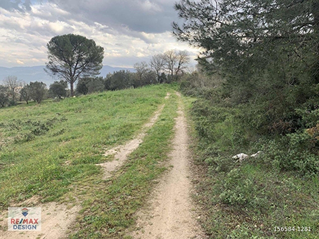 REMAX DESİGN GEYVE DÜZAKÇAŞEHİR MAHALLESİ İMARLI 2831 M2 ARSA - Görsel 21