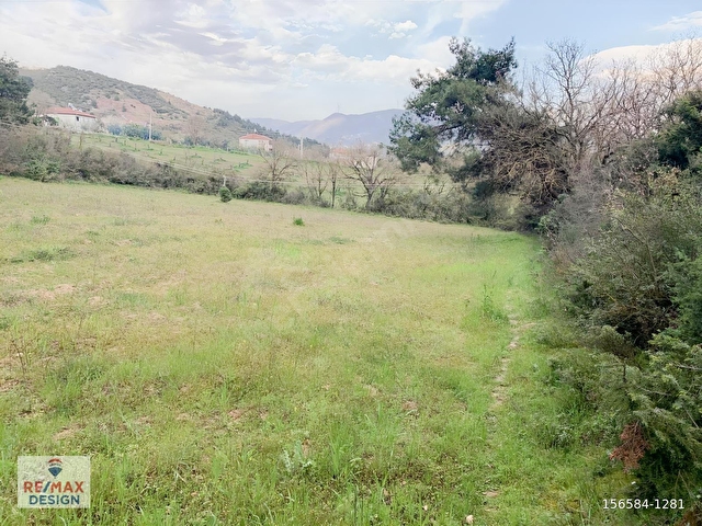 REMAX DESİGN GEYVE DÜZAKÇAŞEHİR MAHALLESİ İMARLI 2831 M2 ARSA - Görsel 2