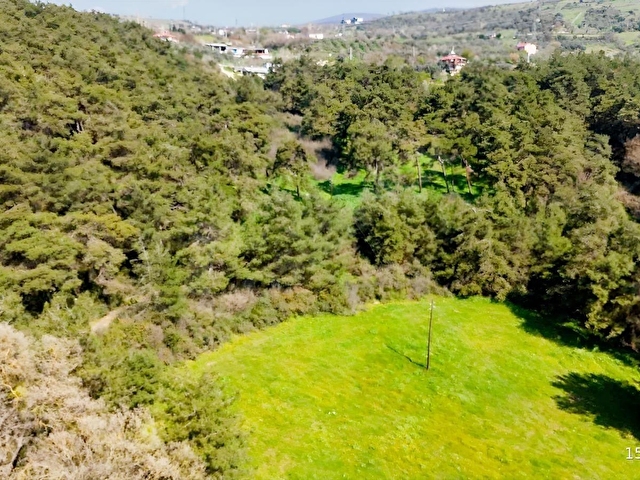 REMAX DESİGN GEYVE DÜZAKÇAŞEHİR MAHALLESİ İMARLI 2831 M2 ARSA - Görsel 23