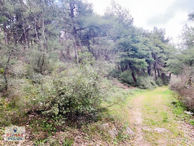 REMAX DESİGN GEYVE DÜZAKÇAŞEHİR MAHALLESİ İMARLI 2831 M2 ARSA - Görsel 15