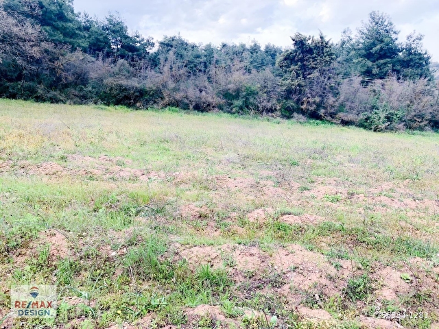 REMAX DESİGN GEYVE DÜZAKÇAŞEHİR MAHALLESİ İMARLI 2831 M2 ARSA - Görsel 3