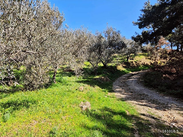 ACİL DENİZ VE KAZDAĞLARI MANZARALI 285 M2 SATILIK TARLA - Görsel 26