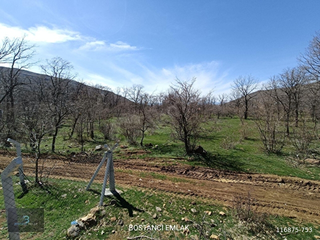 SATILIK BAHÇE - Görsel 11