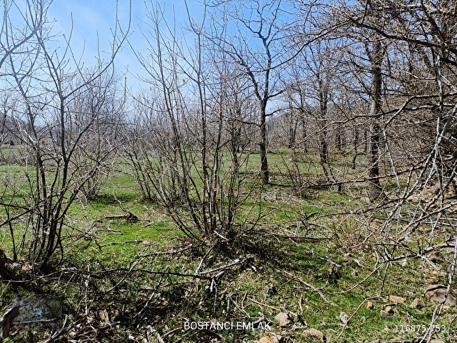 SATILIK BAHÇE - Görsel 6