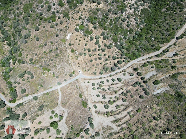 Borsem Datça Cumalı Mahallesinde 8.380 m² Deniz Gören Tarla - Görsel 6
