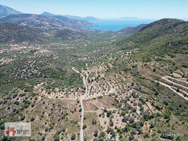 Borsem Datça Cumalı Mahallesinde 8.380 m² Deniz Gören Tarla