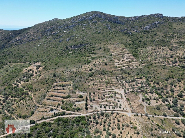 Borsem Datça Cumalı Mahallesinde 8.380 m² Deniz Gören Tarla - Görsel 2