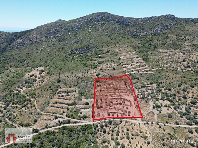 Borsem Datça Cumalı Mahallesinde 8.380 m² Deniz Gören Tarla - Görsel 3
