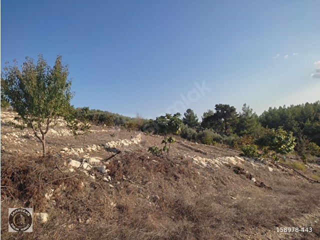 💥💥💥ŞAHMERAN DAN KARAKÜTÜK KÖYÜ 11.900 M2 SATILIK TARLA💥💥💥 - Görsel 10