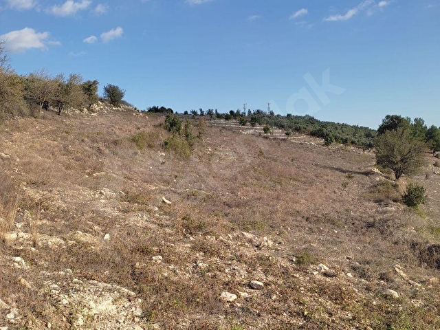 💥💥💥ŞAHMERAN DAN KARAKÜTÜK KÖYÜ 11.900 M2 SATILIK TARLA💥💥💥 - Görsel 18