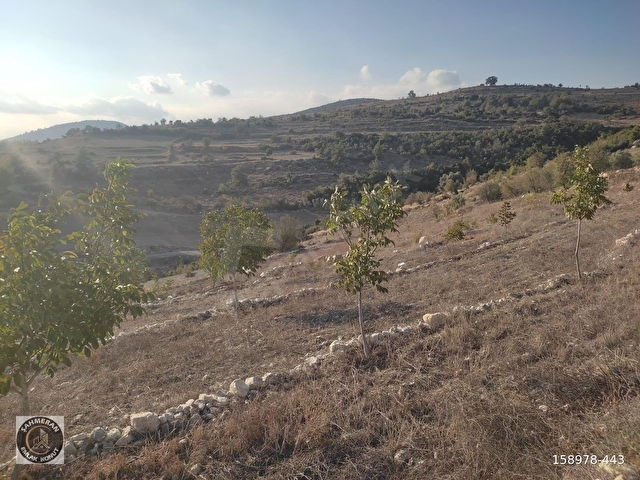 💥💥💥ŞAHMERAN DAN KARAKÜTÜK KÖYÜ 11.900 M2 SATILIK TARLA💥💥💥 - Görsel 7